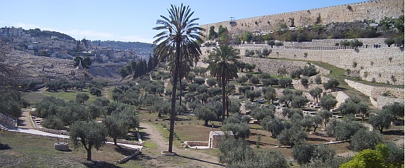 Das Kidron-Tal