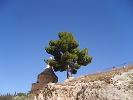 Das Kidron-Tal