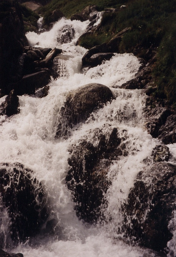 Naturaufnahmen