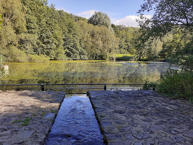 Waldseepfad Rieden bewandern